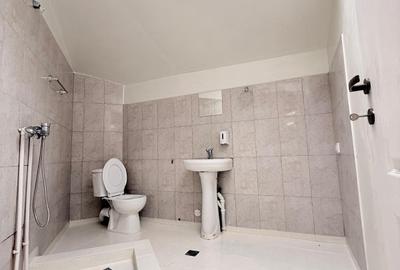 Casa spatioasa - individuala- zona Crangasi - 20