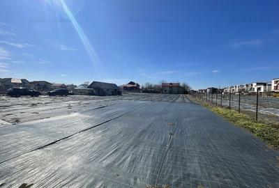 Teren Str. Livezilor - Mogosoaia - Comision 0% - 5