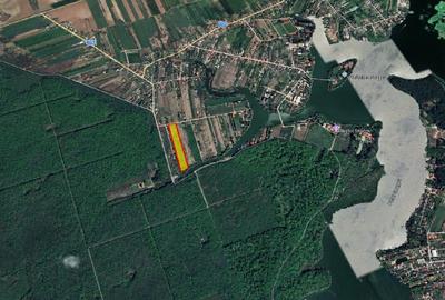 Teren Construcții intravilan de 17500 mp, în Snagov - 2