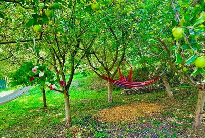 Pensiune de vânzare în Breaza – Relaxare și natură la superlativ - 3