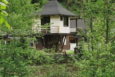 Casă individuală cu 8 camere cu Canalizare în Molid - 6