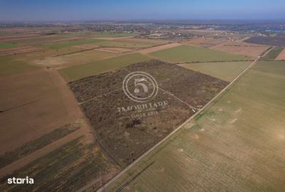 Spațiu comercial, în Săftica - 10