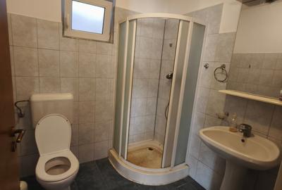 Birou, de 76 mp, în Dumbrăvița - 11
