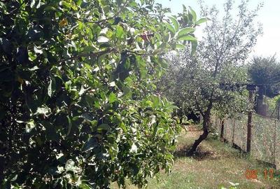 De vanzare  - casa cu 4 camere,  900 mp teren  - str. Razboieni. - 2