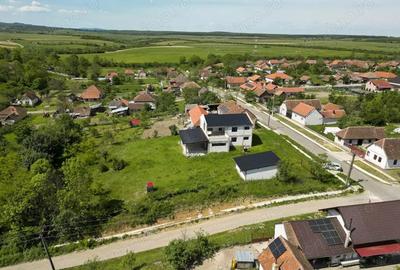 Casa la ro?u din BCA de vanzare in Jude?ul Arad - 2