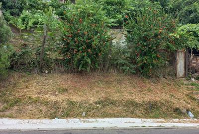 Casa cu vedere la Dunare! Vanzare sau schimb. - 2