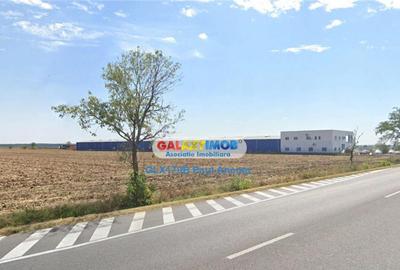 Teren de 49000 mp, în Găneasa