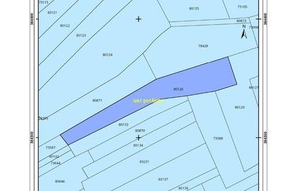 Teren de 5268 mp, în Teiș - 5