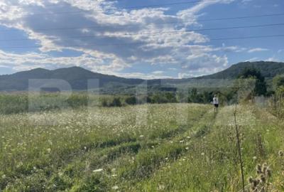 Teren de 1000 mp, în Viișoara