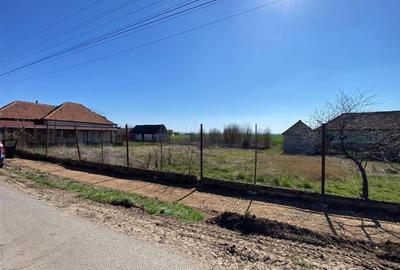 RECO Casa in  Tamaseu  18km de Oradea - 8
