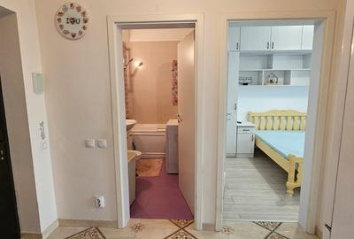 Apartament cu 2 camere decomandat, mobilat în Tătărași - 8