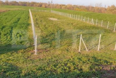 Teren de 1900 mp, în Est