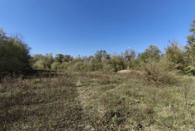 Teren imprejmuit cu iaz indiguit, 7200mp, Fratautii Vechi, R - 3