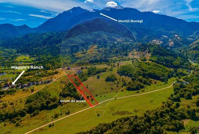 Teren agricol extravilan de 1447 mp, în Glăjărie