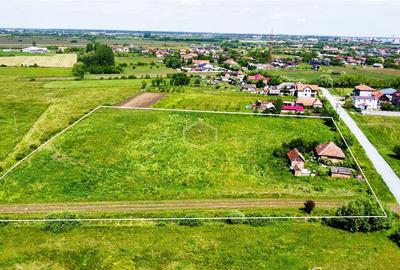 Teren Construcții extravilan de 10850 mp, în Sud - 6
