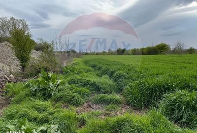 Spațiu comercial, în Remuș - 4