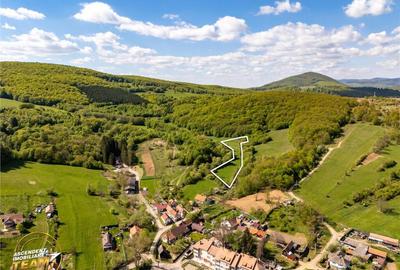 Teren de 11306 mp, în Malnaș - 7