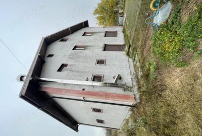 Casa Teghes-Domnesti - 3