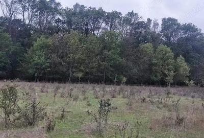 Teren de 950 mp, în Central