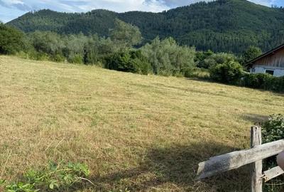 Teren în Stejaru (Farcașa) - 6