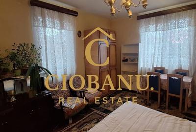 Casa de vanzare zona Campia Islaz - 17