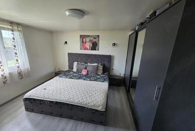 Casă cu Teren 4600 Mp în Tetoiu - 9