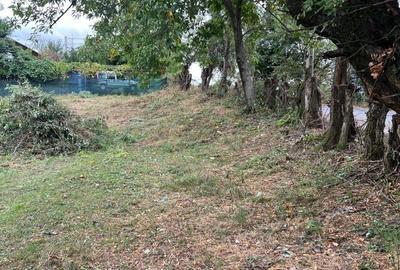 Spațiu comercial, în Buștenari - 2