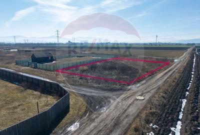 Teren Construcții intravilan de 1007 mp, în Hălchiu - 5