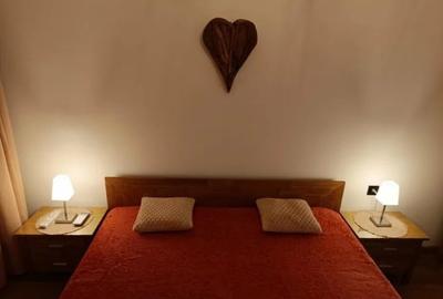 Apartament cu 2 camere de inchiriat zona Pacii - 2