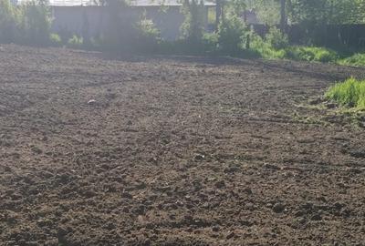 Teren de 1500 mp, în Stoenești - 3