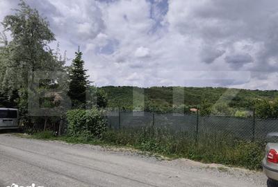 Teren de 860 mp, în Podgoria - 10