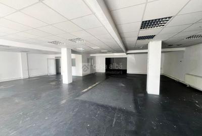 Spațiu industrial, 236 mp în Tătărași