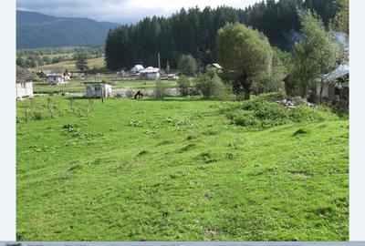 Teren de 2121 mp, în Nucșoara - 8