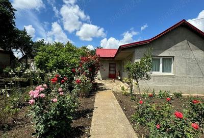 Casa de vanzare in Movila Banului , judetul Buzau Casa de vanzare in Movila Banului , judetul Buzau - 1