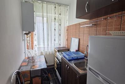 Apartament cu 2 camere în Banat - 7
