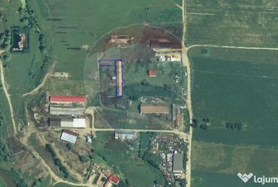 Teren de 1333 mp, în Șercaia - 1