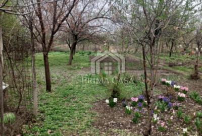 Casă cu Teren 500 Mp în Dorobanți