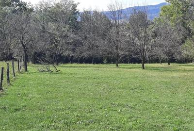 Teren de 8540 mp, în Breaza - 1