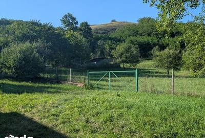 Teren de 1000 mp, în Slimnic - 1