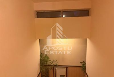 Casă cu 5 camere cu Teren 1473 Mp în Calea Urseni - 3