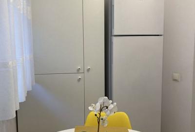 Apartament cu 2 camere, mobilat în Camil Ressu - 5