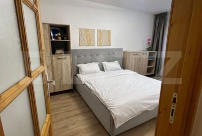 Apartament cu 2 camere, (regim hotelier), complet mobilat, zona Triaj - 12