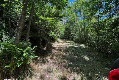 Spațiu comercial, în Bujoreni - 2