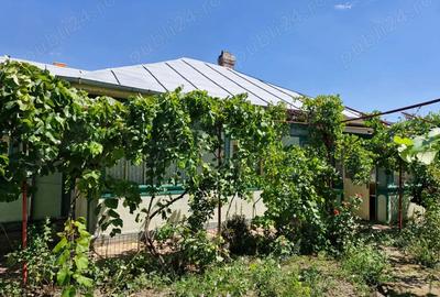Casa in Rosiori de Vede - 2