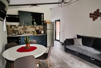 Vila noua de inchiriat in Busteni - 2