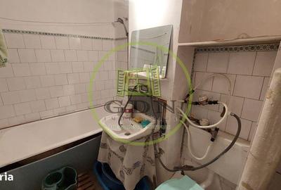 Apartament cu 2 camere semidecomandat în Craiovița Nouă