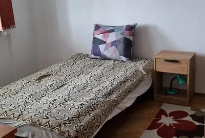 Apartament cu 2 camere semidecomandat în Bucureștii Noi - 5