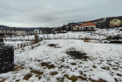 Casă cu 3 camere cu Teren 1358 Mp în Apahida - 10