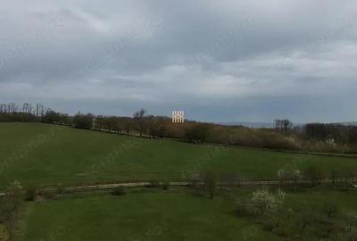 Teren de 5800 mp, în Mitocași - 4