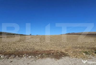 Teren de 17000 mp, în Almașu Mic - 3